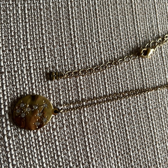 GUC BCBGMax Azria Gold Pisces Constellation Necklace - Picture 6 of 6